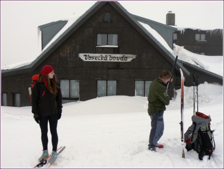 Kamzik Krkonose 14.3 008