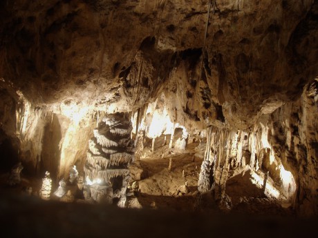 1. Sloupskošošůvské jeskyně.jpg