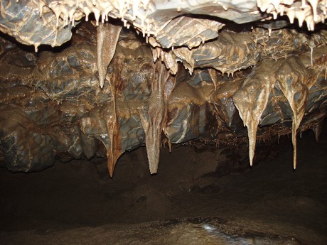 92. Stalaktity v Amaterské jeskyni.jpg