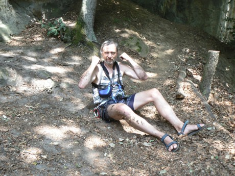 9Vajoletky Venca po pádu