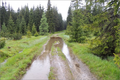 DSCN2927chčije a chčije