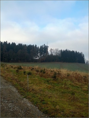 IMG_20131231_141025_1