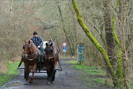 povoz v Tichém údolí