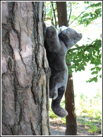 kdo umí umí, kdo neumí ...